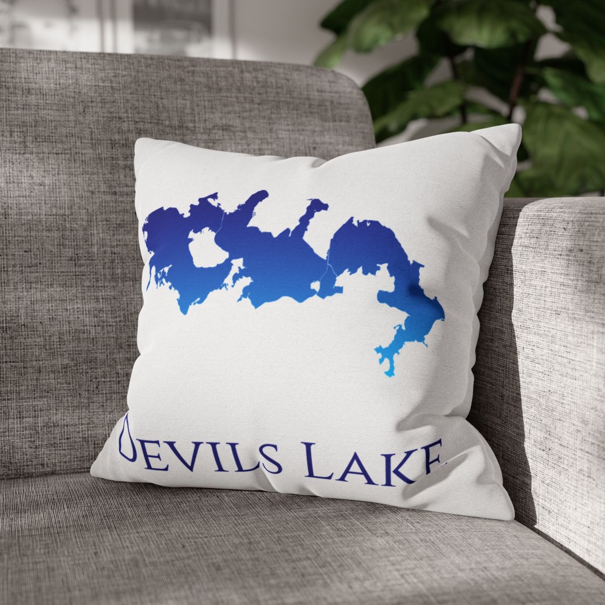 couch pillow