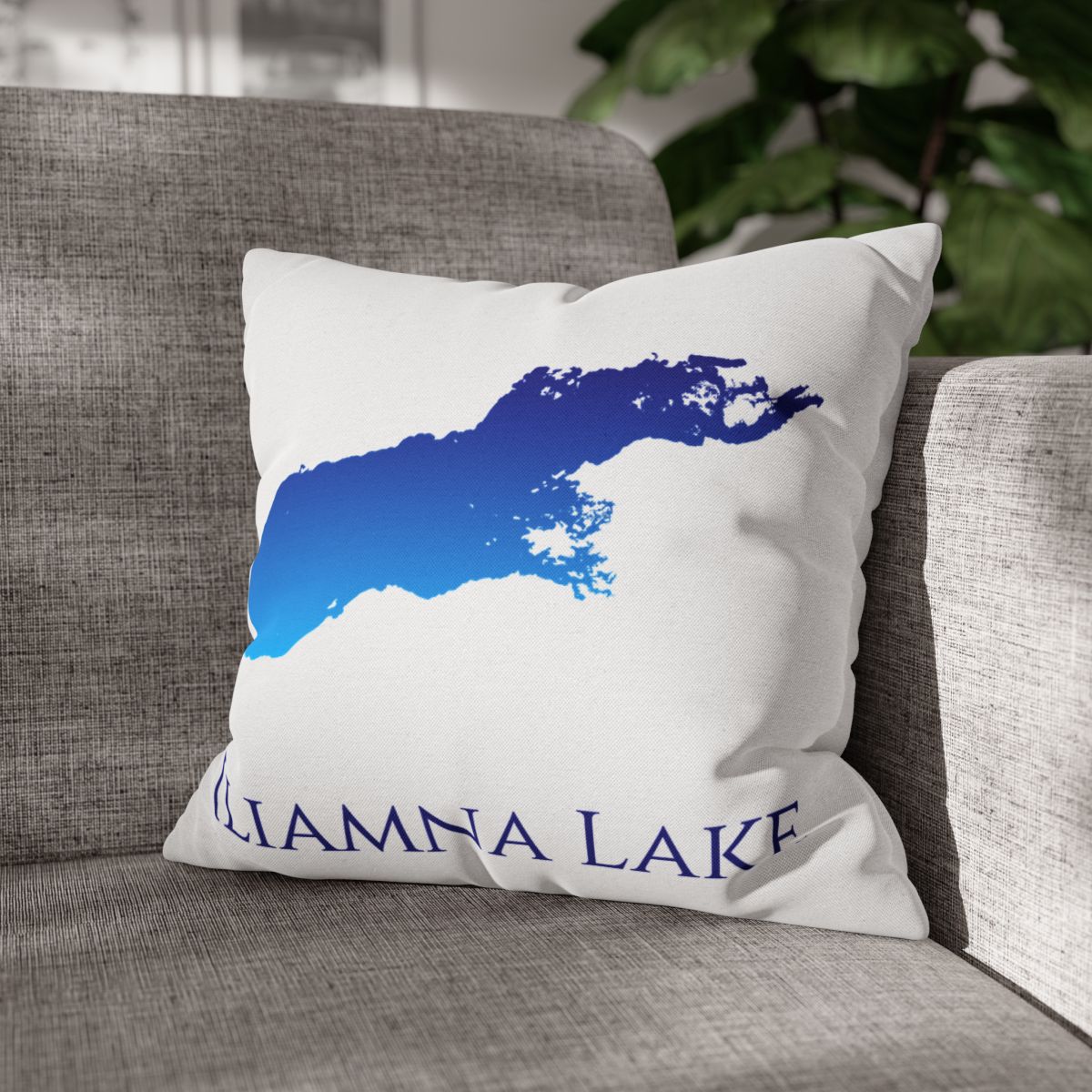 couch pillow