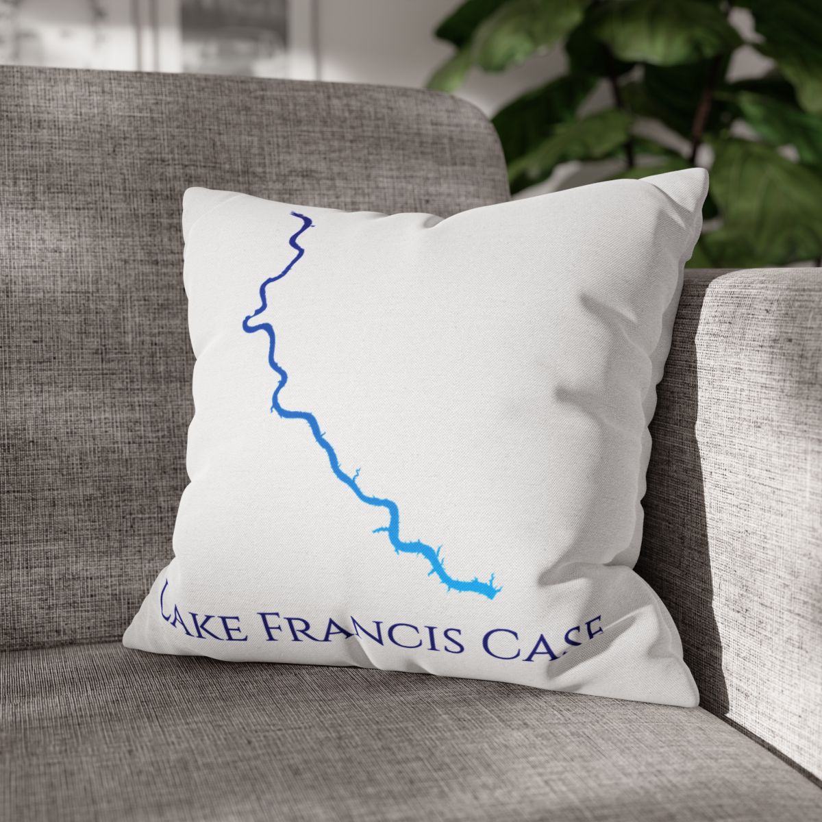 couch pillow