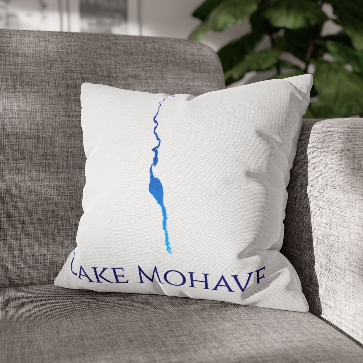couch pillow