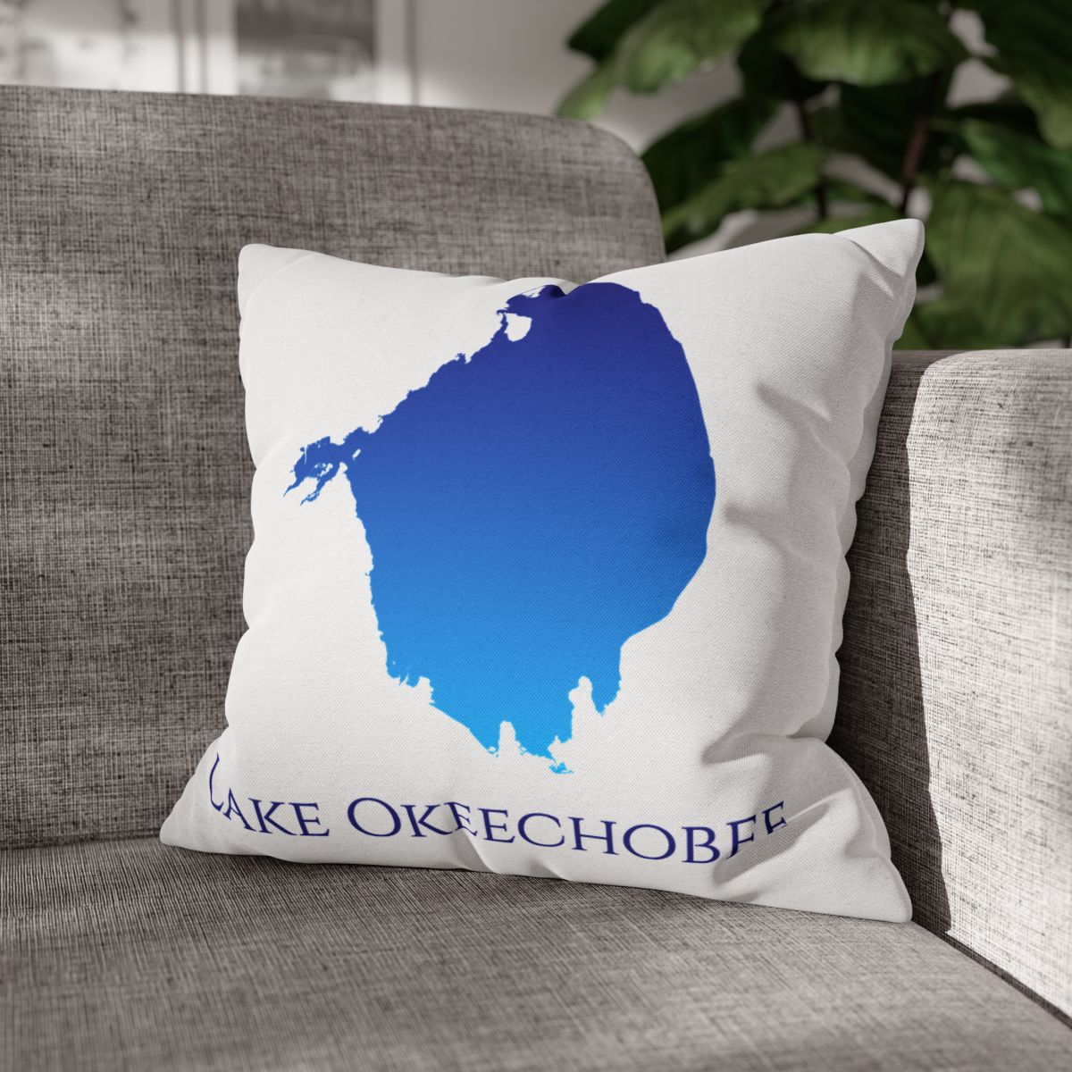 couch pillow