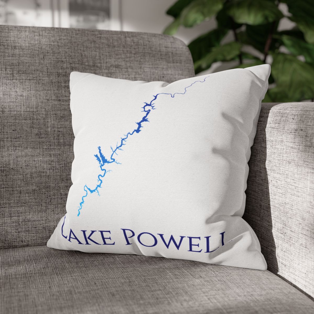 couch pillow