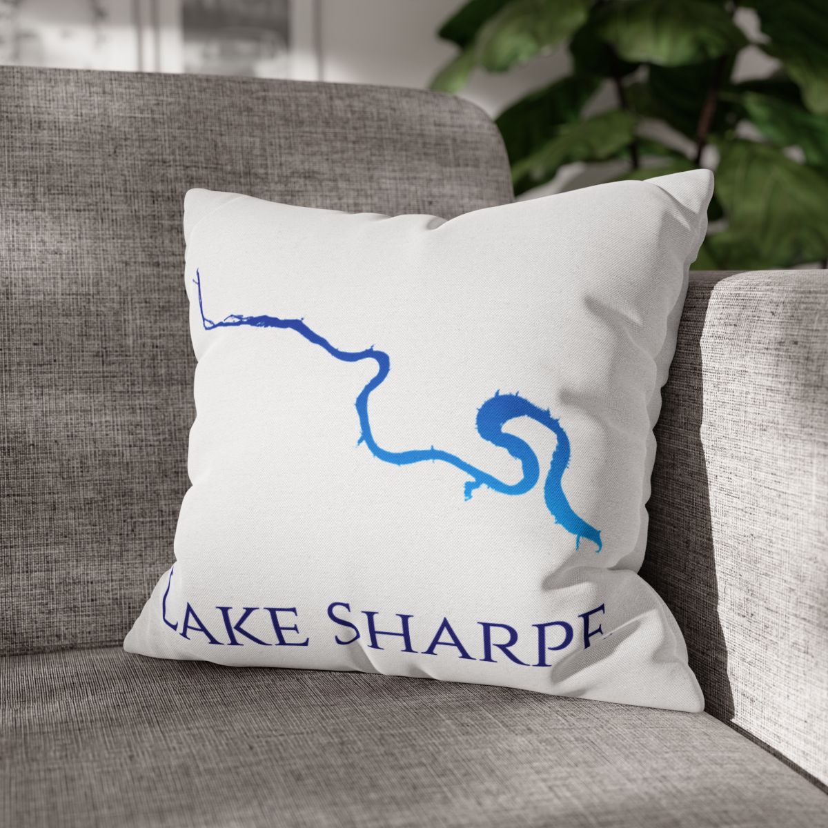 couch pillow