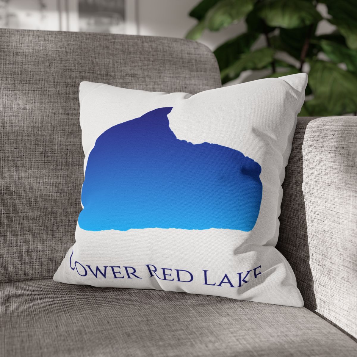 couch pillow