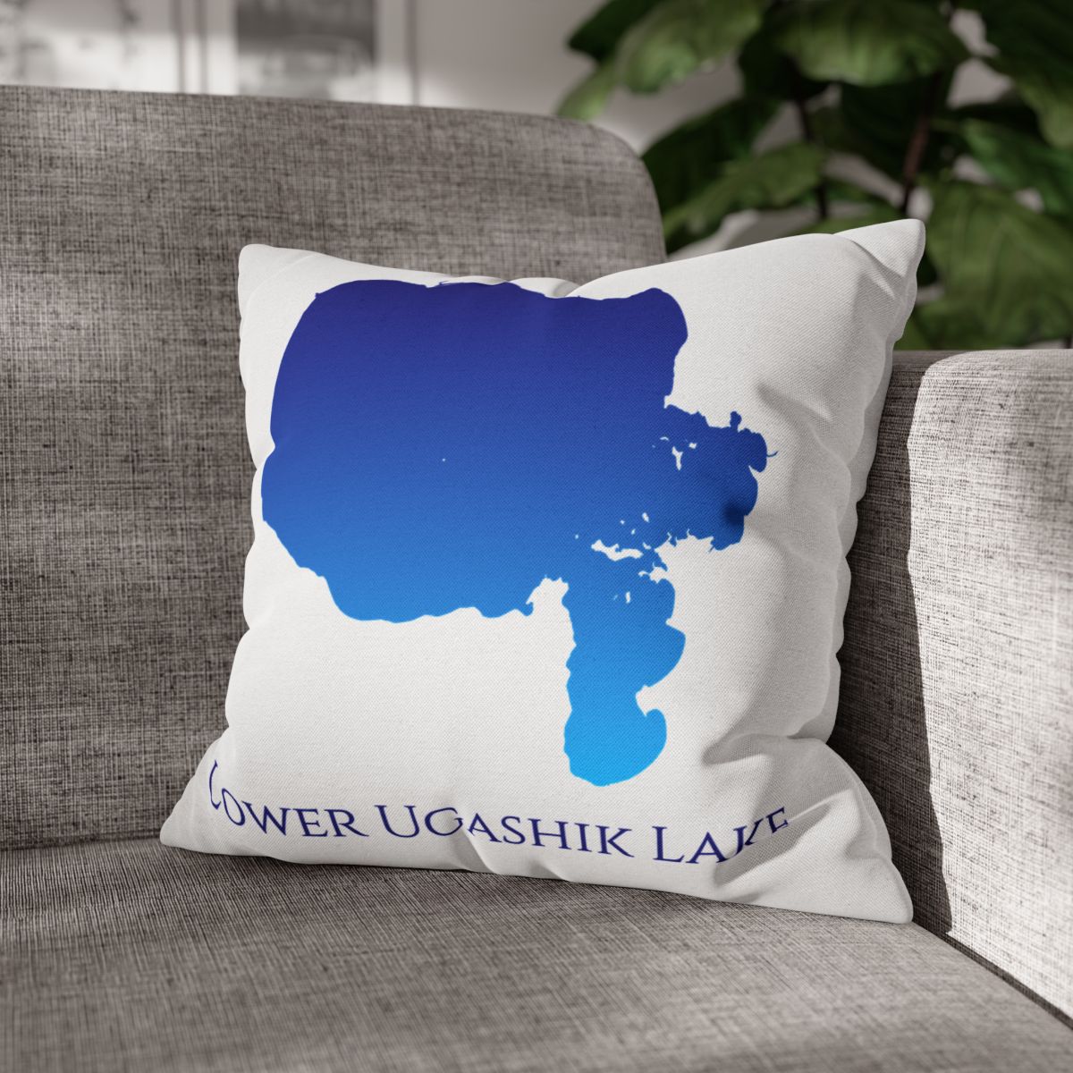 couch pillow