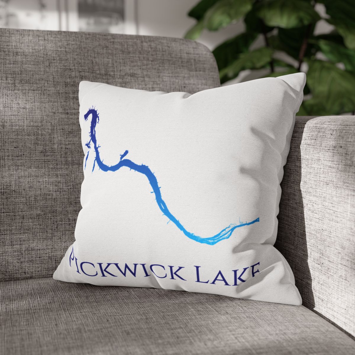 couch pillow