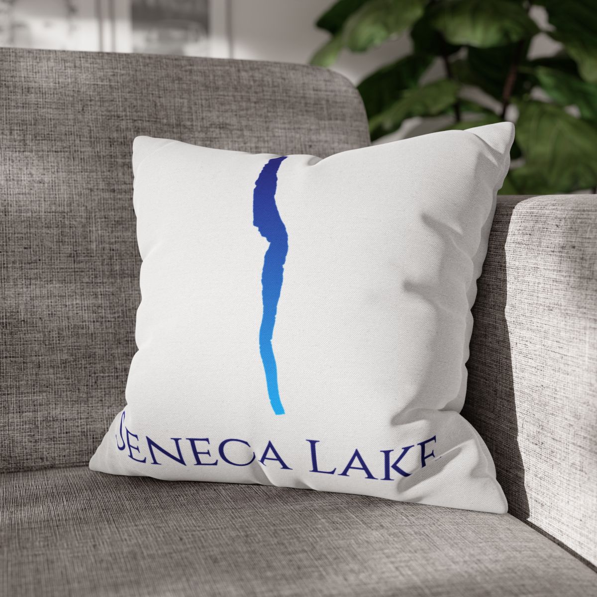 couch pillow