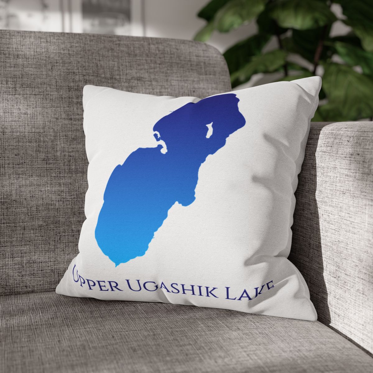 couch pillow