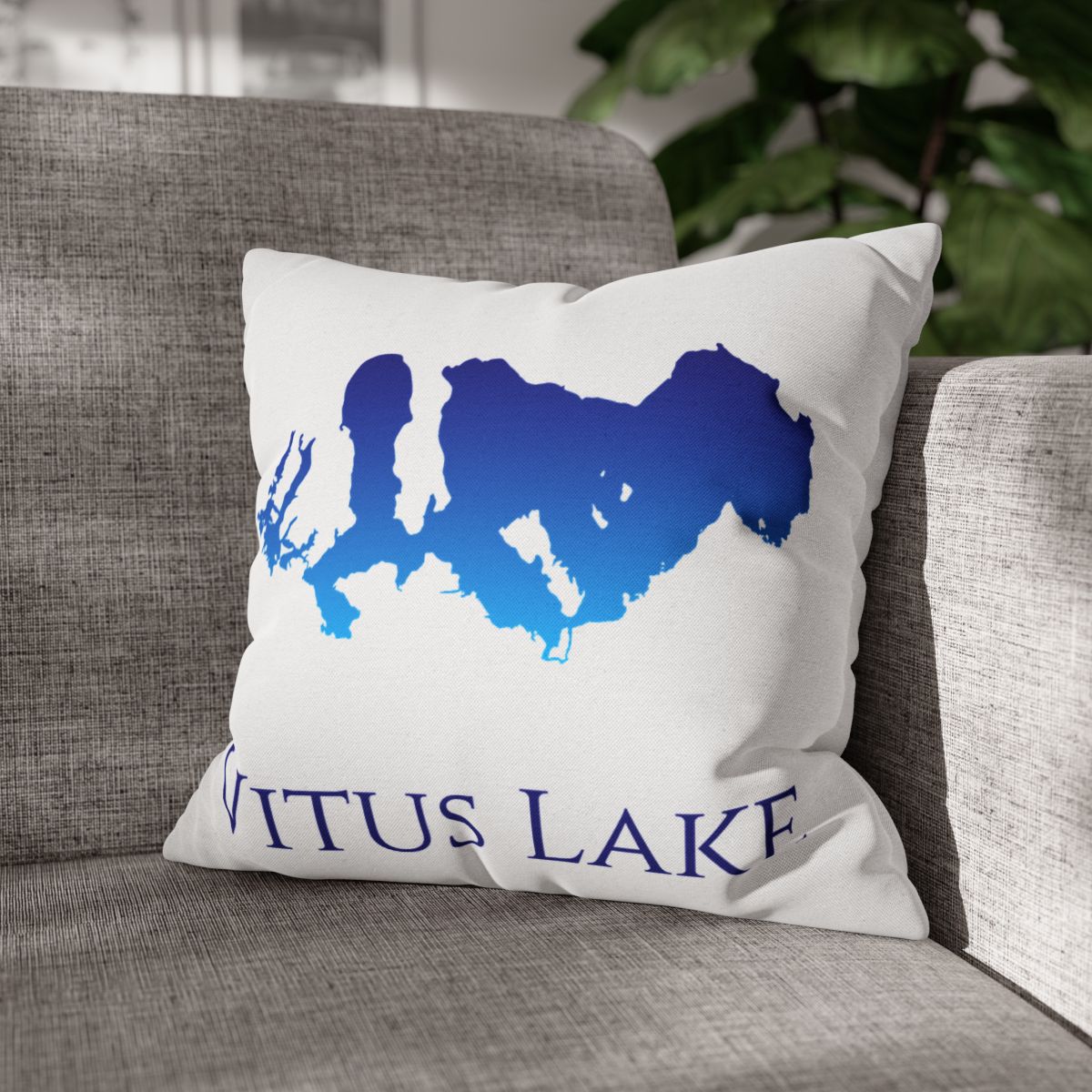 couch pillow